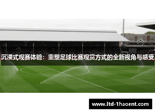 沉浸式观赛体验：重塑足球比赛观赏方式的全新视角与感受