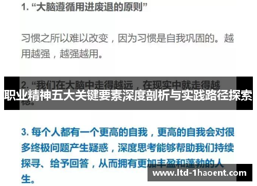 职业精神五大关键要素深度剖析与实践路径探索