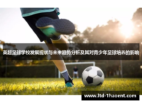 英超足球学校发展现状与未来趋势分析及其对青少年足球培养的影响 英超足球学校发展现状与未来趋势分析及其对青少年足球培养的影响